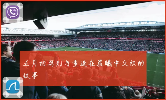 五月的离别与重逢在晨曦中交织的故事